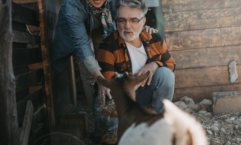 A happy retired couple enjoying life on their smallholding with a goat