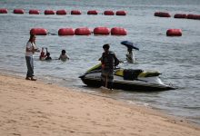 Swimmers in open water
