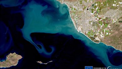 Anomalous towering waves hit California’s coast (Copernicus 2024-01-03)