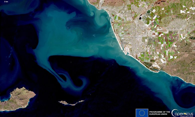Anomalous towering waves hit California’s coast (Copernicus 2024-01-03)